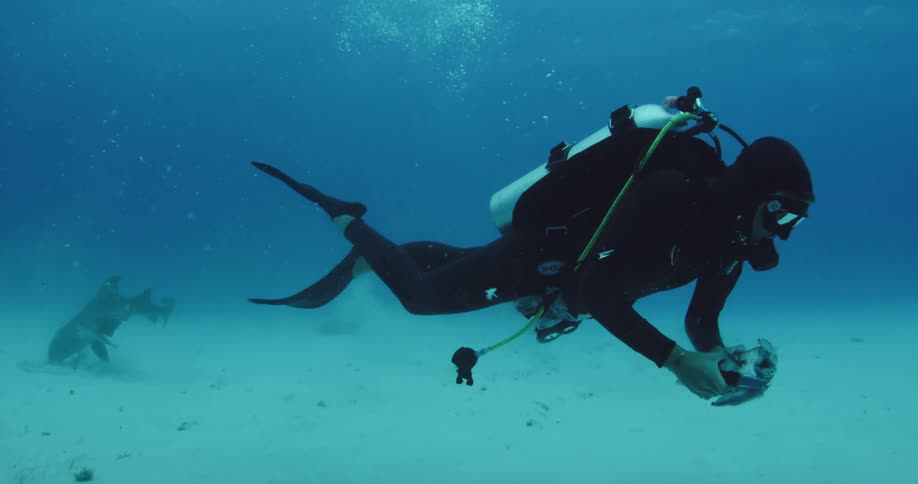 Scuba divers slowly swimming and filming as they kick their legs