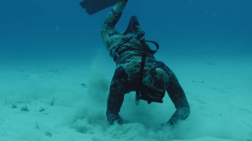 Scuba diver explores the ocean bottom