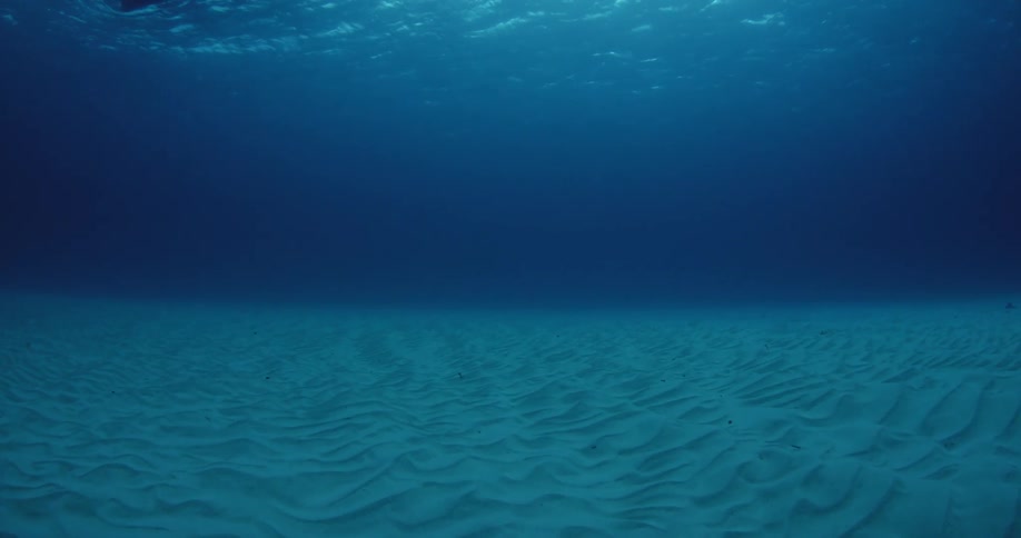 Moving along the sand underwater as the sun shines down