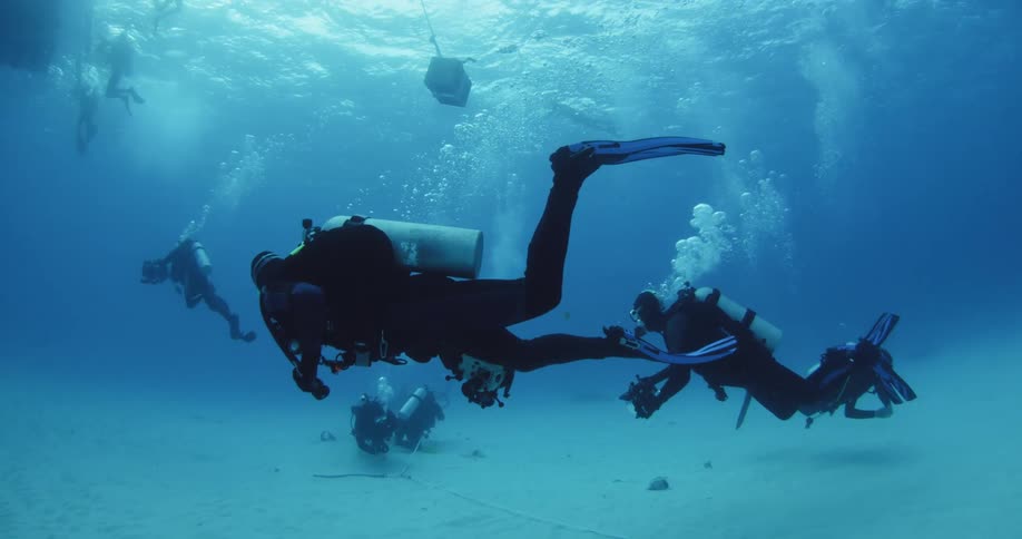 Many scuba divers swimming in a close area