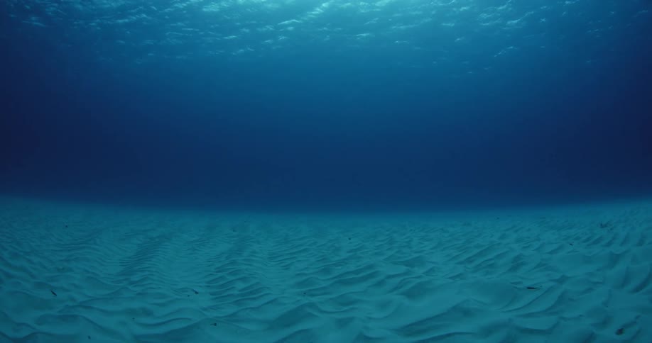 An underwater view of the ocean floor