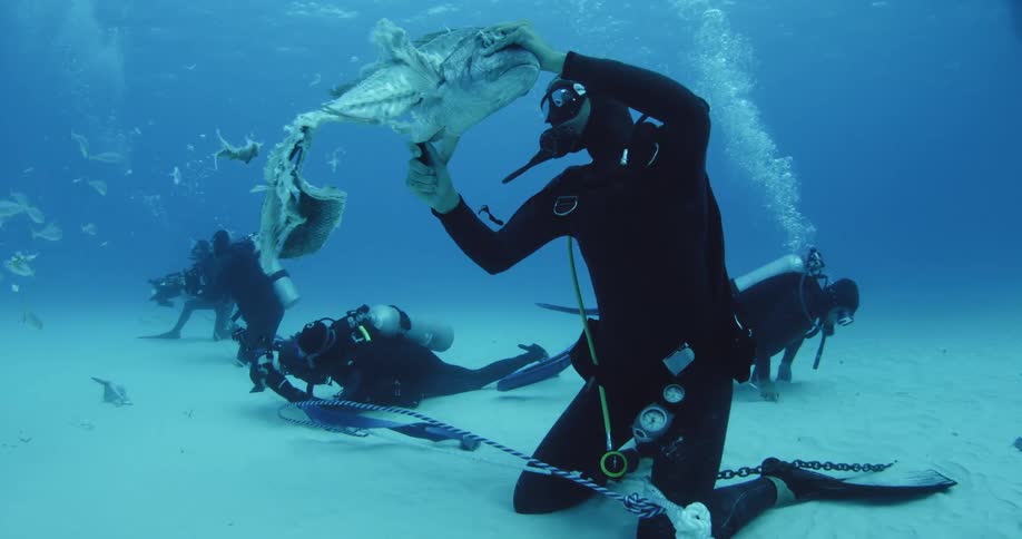 A diver is cutting a large fish while other divers rest on the floor of the ocean