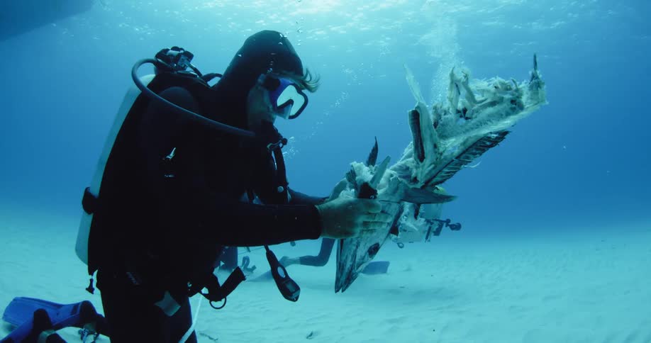 A diver holds fish bait in the ocean