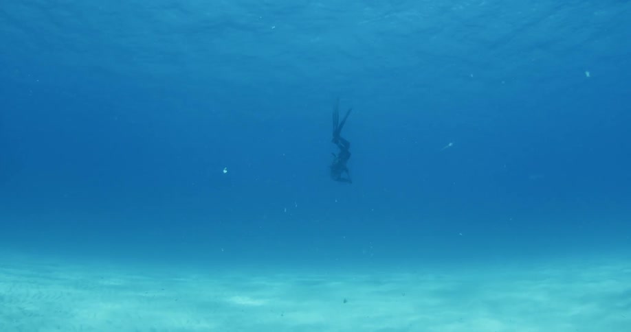 A scuba diver swimming down and away from the camera