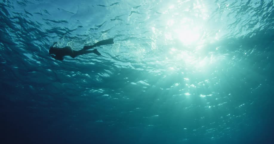 Diver swimming underwater with sun shining down
