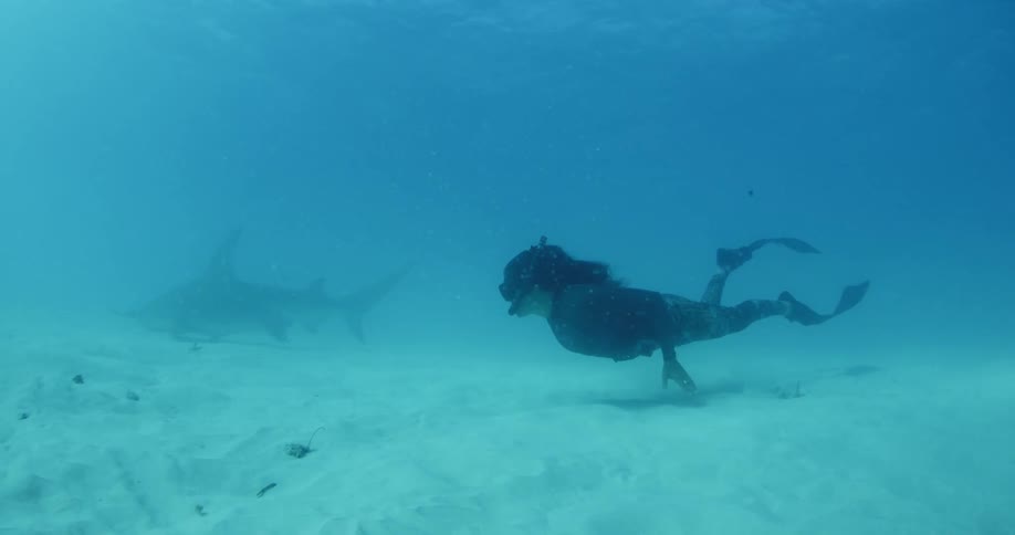 Woman scuba diver swims behind a shark