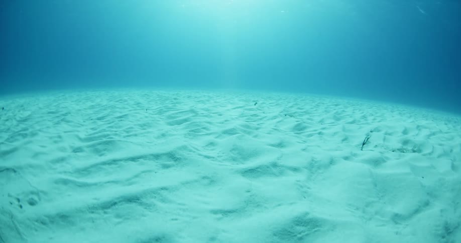 A sandy ocean floor is covered in ridges