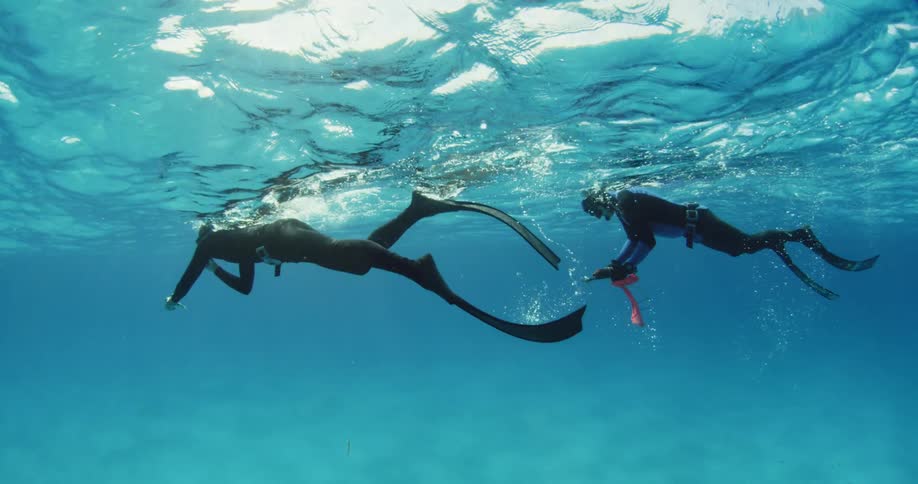 Two scuba divers swimming just below the surface of the water