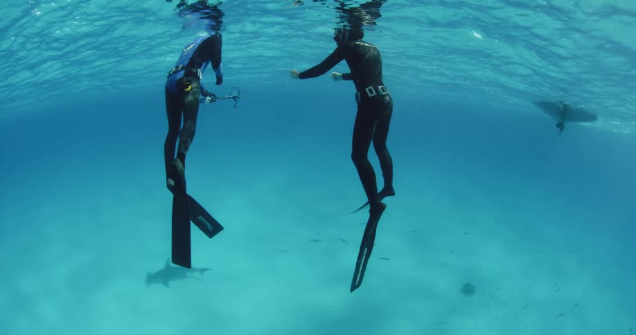 Two divers floating near the surface of the ocean