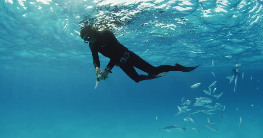 A diver swims near the surface of the water with a school of fish nearby