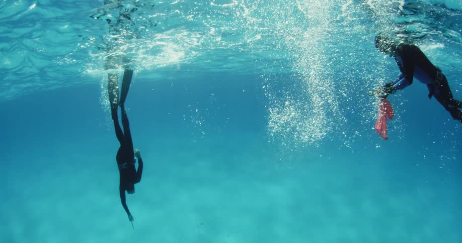 Divers swim near the surface of the ocean