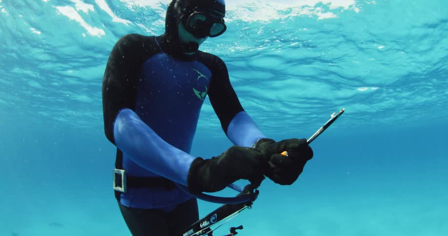 A scuba diver floating near the surface working on a piece of their equipment