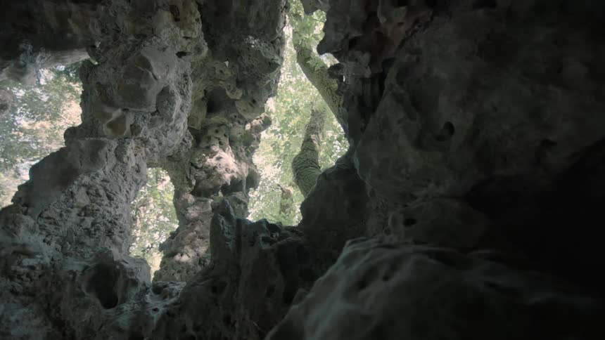 Trees are seen through the opening in a cave with lava formations