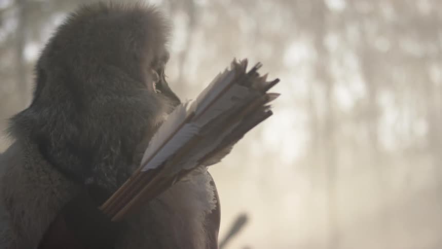 Man carrying a quiver of arrows in a smoky forest