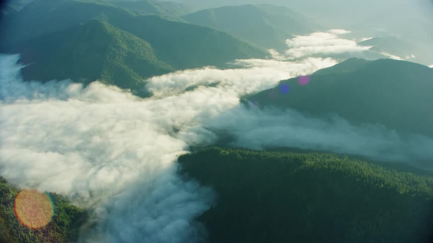 Coastal fog forms inland on green tree covered hillsides on a warm summer morning near the coast from an airplane high in the air