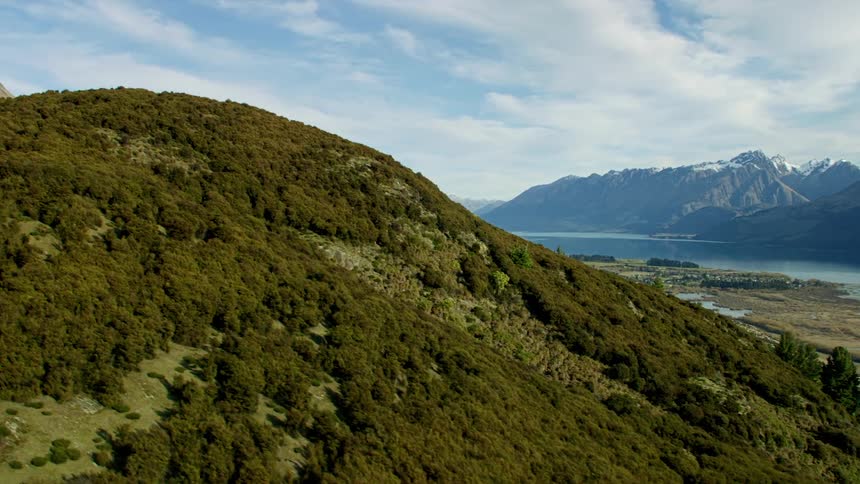 Aerial view of mountain slope with trees and valley next to lake