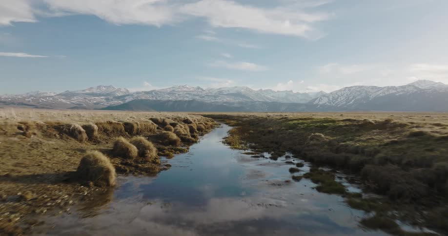Bird flies over reflective river flowing between muddy banks toward misty snow covered mountains