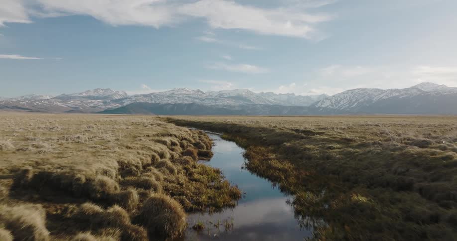 Birds flying over a river with snowy mountains in the distance