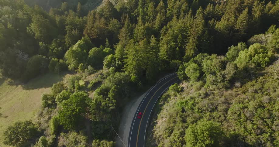 An aerial view of a red car traveling on a curvy forest road