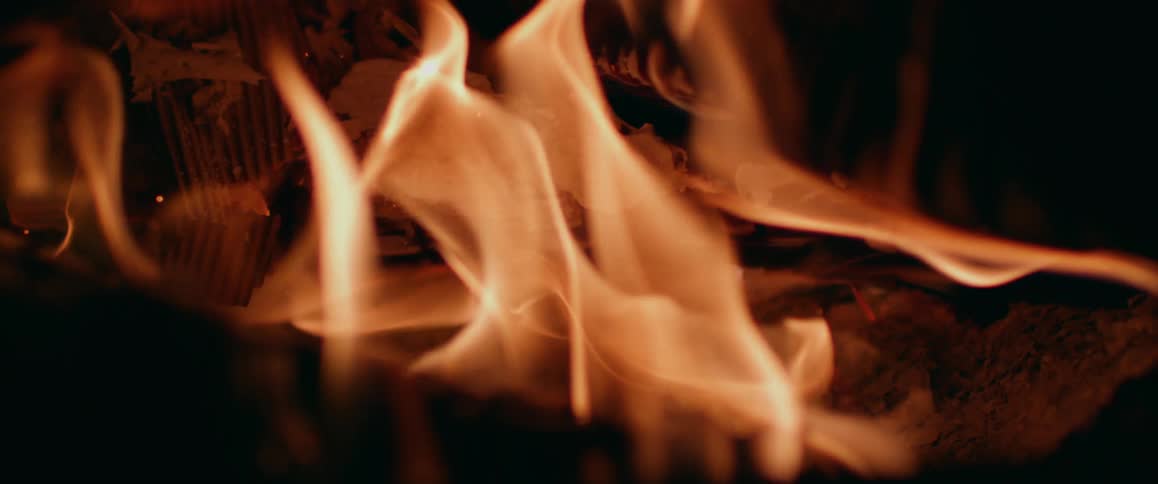 Close up of burning wood