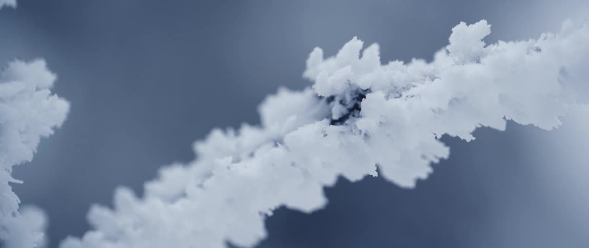 Extreme close up of snow building up a tree branch outdoors