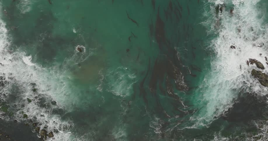 Birds eye view of ocean waves are displayed