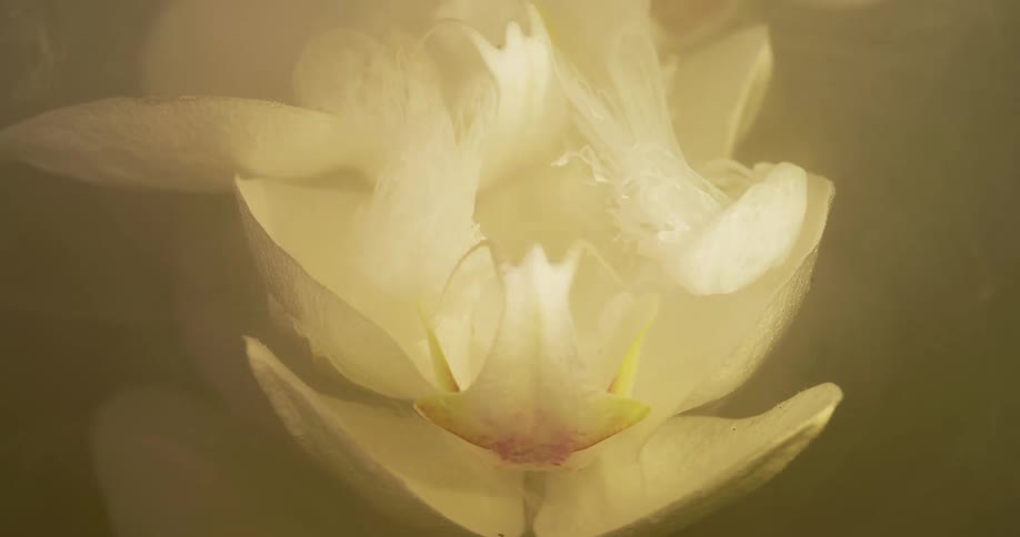 Flowing white hazy liquid