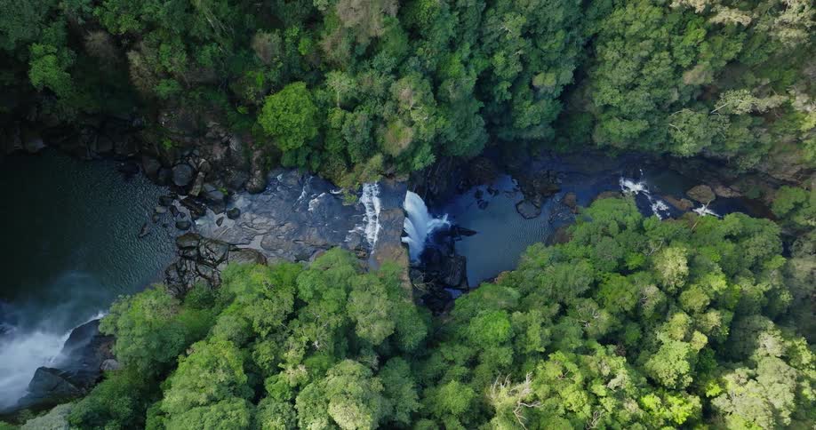 Aerial view of a river flowing through a forest in the mountains