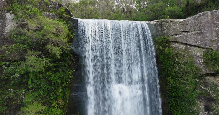A waterfall in the forested wilderness during the day