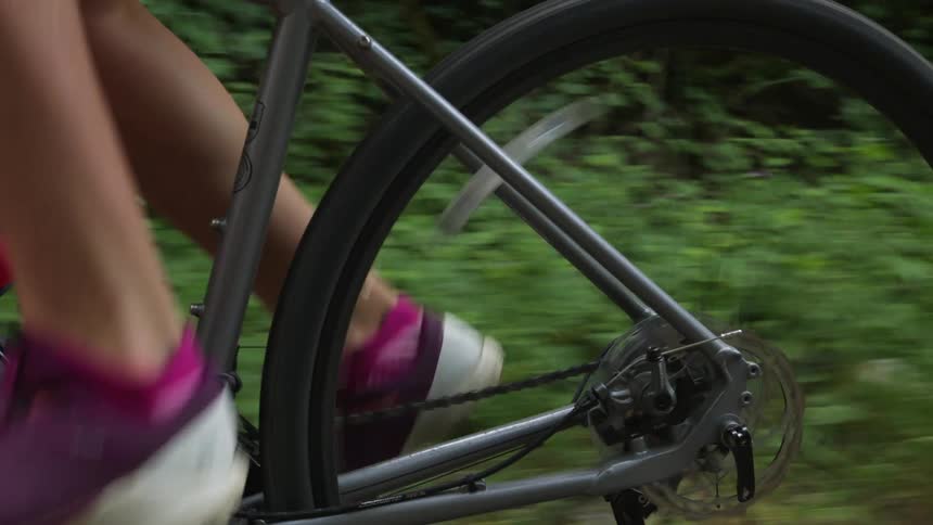 A cyclist pedals a bicycle through forest during the day