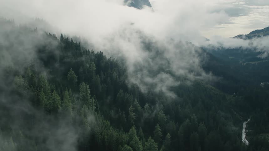 Low lying clouds obscure portions of conifer forest on mountains and the river in valley between them