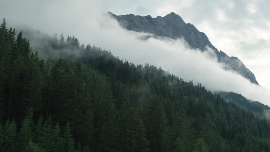 A forested mountain slope below a mountain peak obscured by clouds and mist