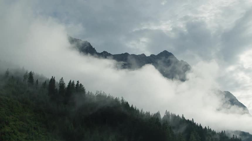 A mountain ridge shrouded by clouds looms over a dense forest