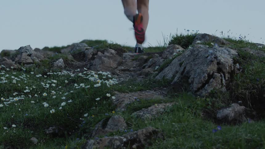 A girl is jogging up a hill on a path with daisies and rocks in the grass