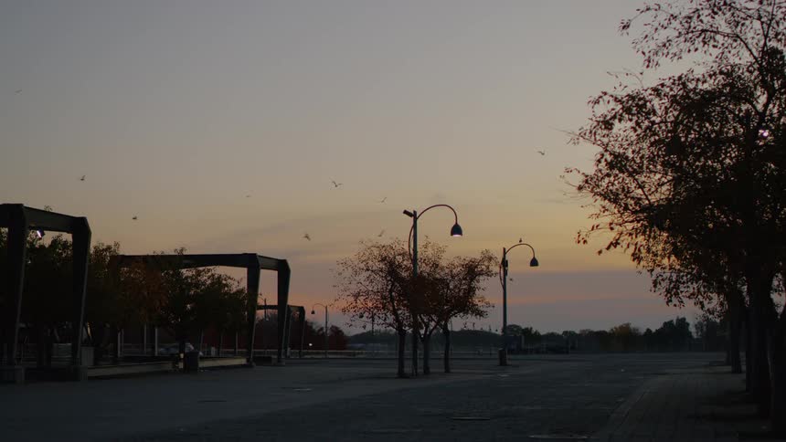 Birds fly over open public space at dawn