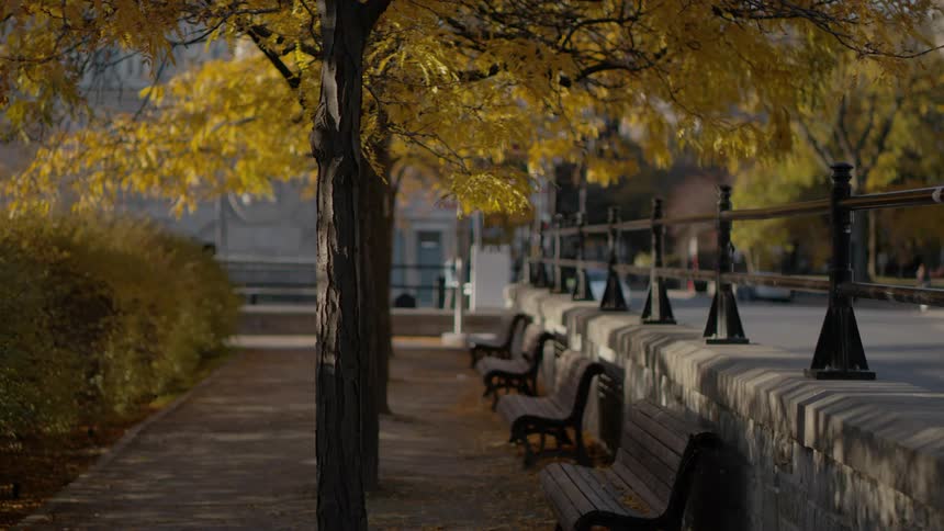 View of public park with benches near the street in the city