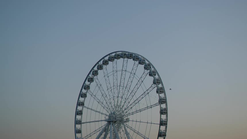 A bird flies over a ferris wheel