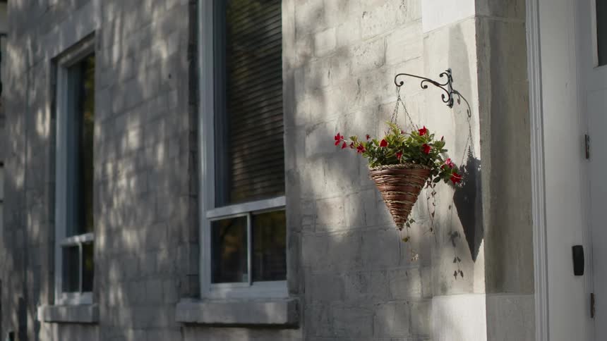 Peaceful scene of a flower pot hanging next to the entrance of a home