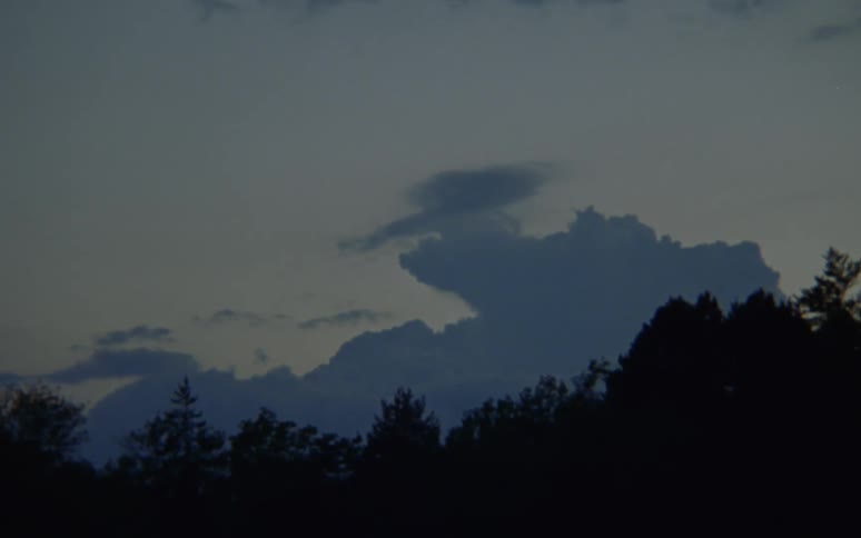 A partially cloudy sky over a woodland in the evening