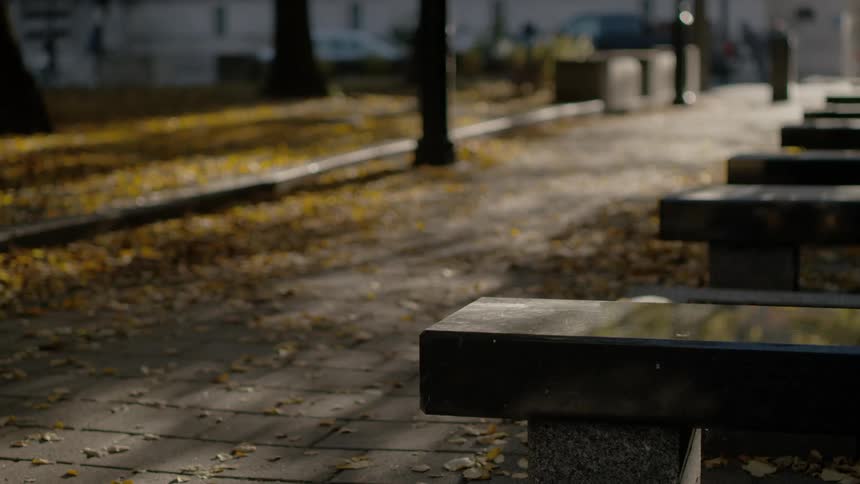 People are walking in the distance near a park with benches lined up and fall colored leaves scattered on the ground