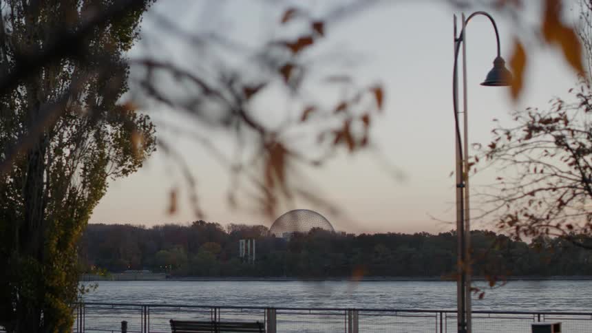 A bird flies past benches in a park in front of a lake
