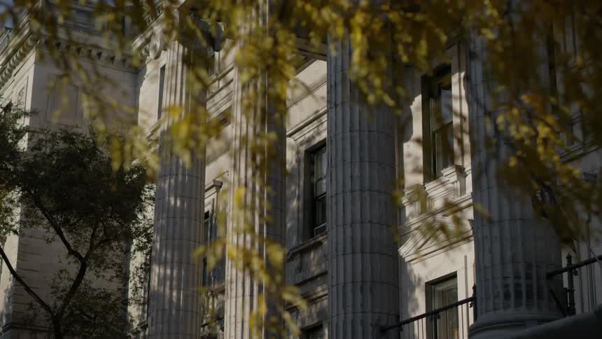 Blowing leaves hang over columns in front of a large building