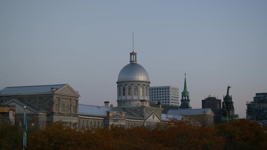 A large domed building in a city