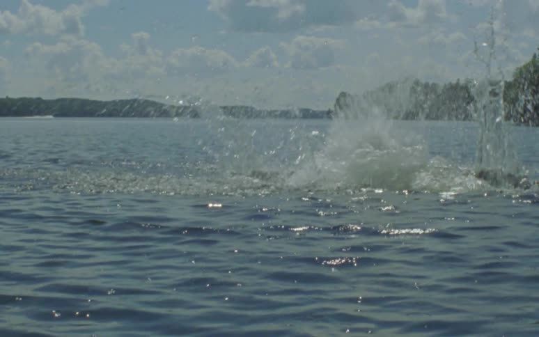 A man is jumping into a lake during spring