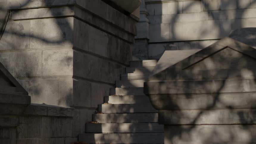 Shadows cast by tree branches move on wall of stone building and steps