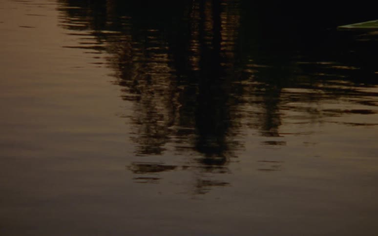 Pylons reflected on the rippling surface of the water