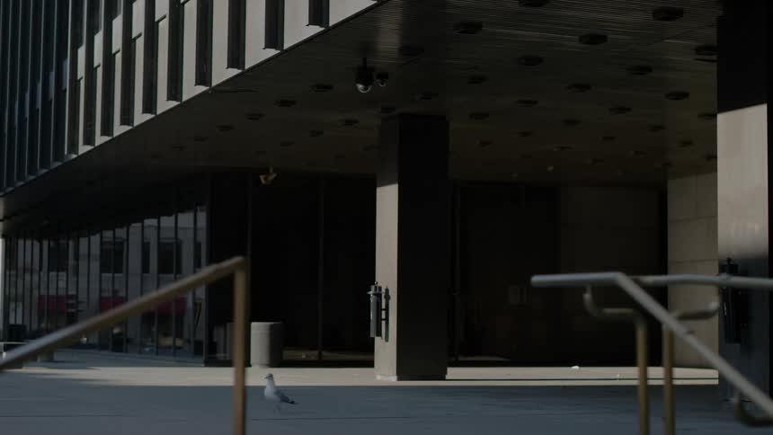 Reflections of cars on windows of an office building with a bird walking in front of it