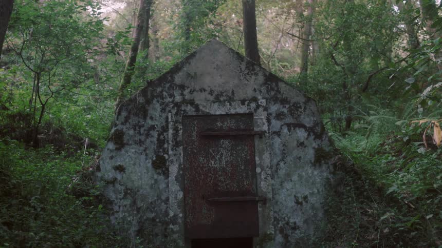 Vines and brush growing over an abandoned structure