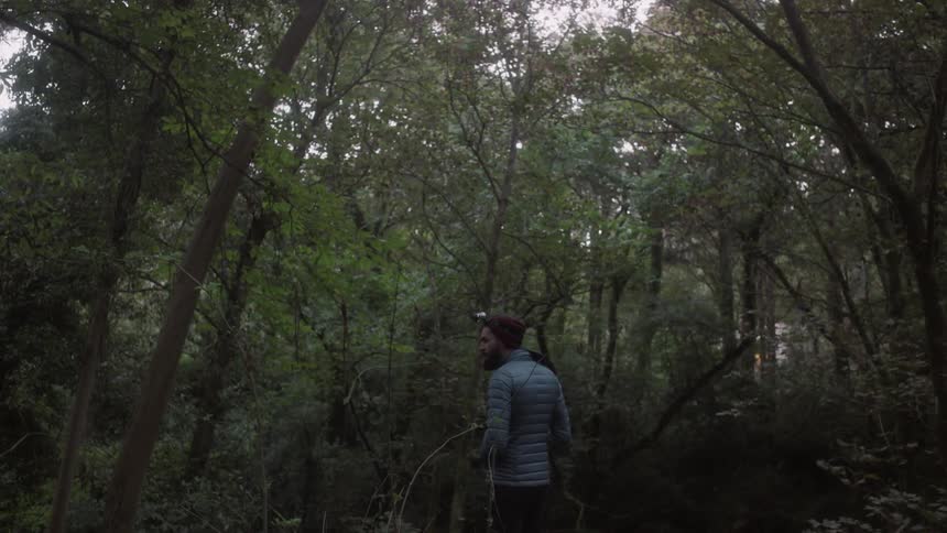 A man wears a camera on his head while looking around the forest