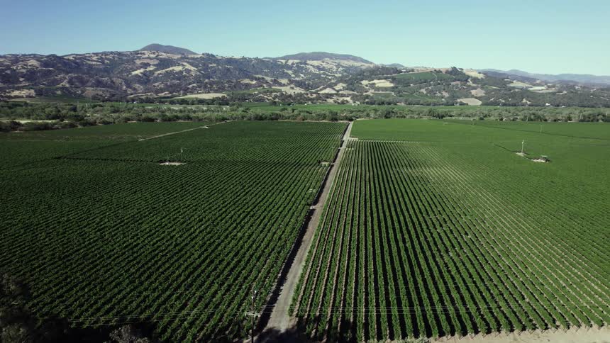 An aerial view of a vast area of land is shown with mostly grass and mountains and trees in the background